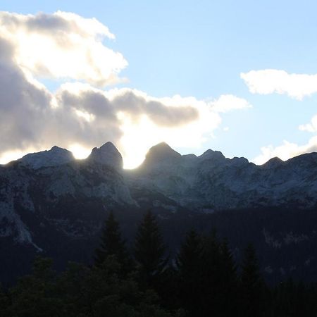 Planinska Hisica Pod Macesni - Bohinj Βίλα Srednja Vas v Bohinju Εξωτερικό φωτογραφία